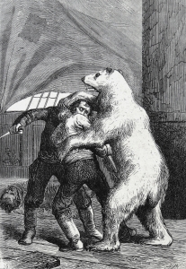"The bear gripped them both." Art by Adrien Marie and Barbant from "Le Docteur Ox" by Jules Verne (1874).